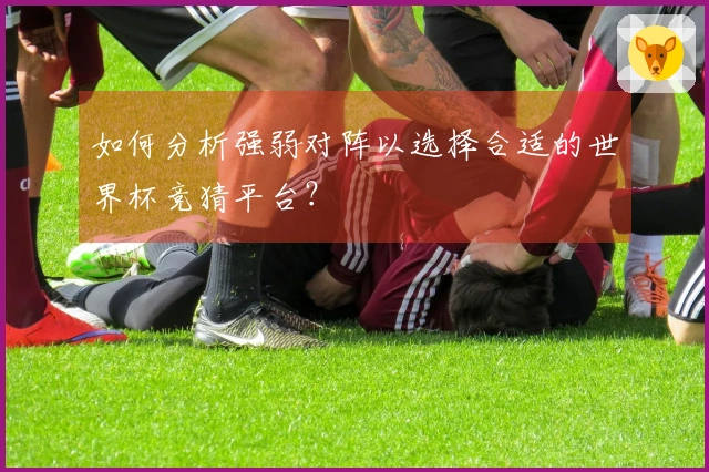 如何分析强弱对阵以选择合适的世界杯竞猜平台？