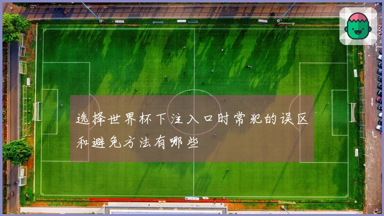 选择世界杯下注入口时常犯的误区和避免方法有哪些