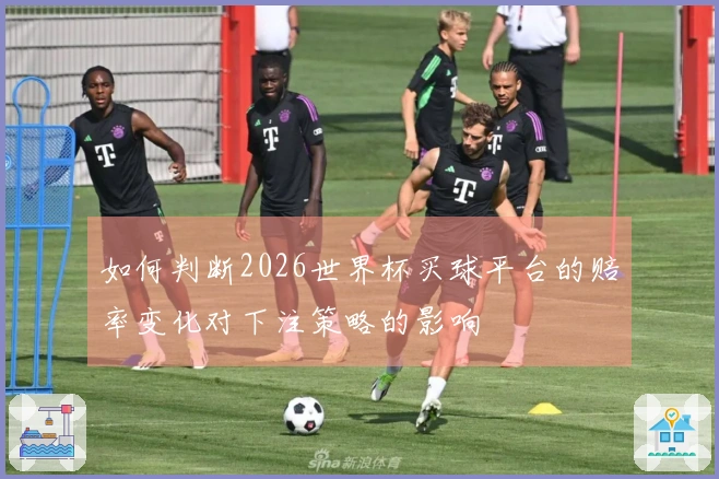 如何判断2026世界杯买球平台的赔率变化对下注策略的影响
